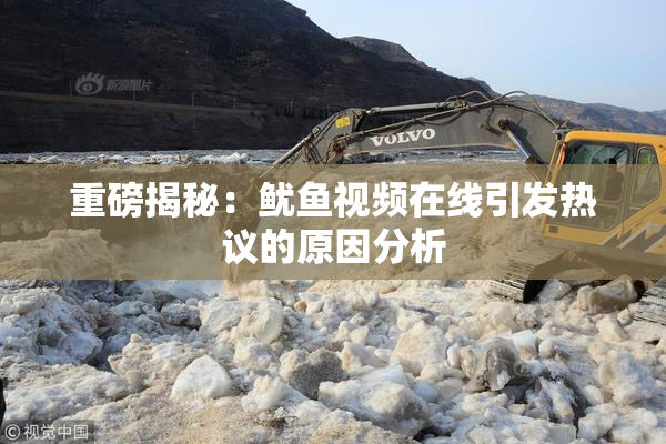 重磅揭秘：鱿鱼视频在线引发热议的原因分析