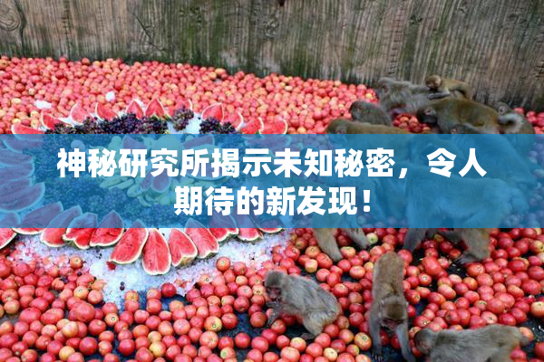 神秘研究所揭示未知秘密，令人期待的新发现！