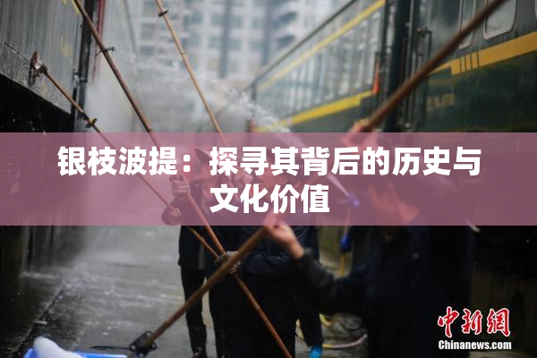 银枝波提：探寻其背后的历史与文化价值