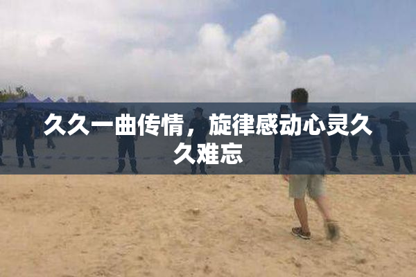 久久一曲传情，旋律感动心灵久久难忘