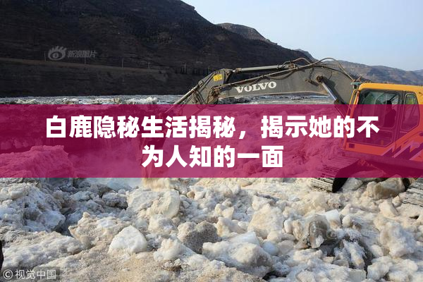 白鹿隐秘生活揭秘，揭示她的不为人知的一面