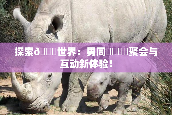 探索🔞世界：男同❌‌❌‌聚会与互动新体验！