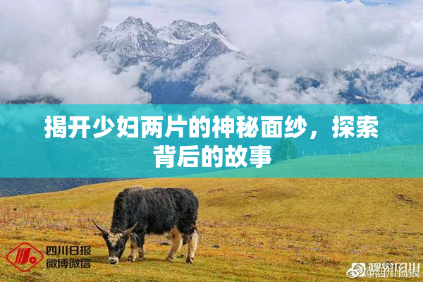 揭开少妇两片的神秘面纱，探索背后的故事