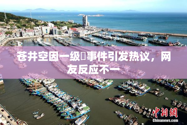 苍井空因一级婬事件引发热议，网友反应不一