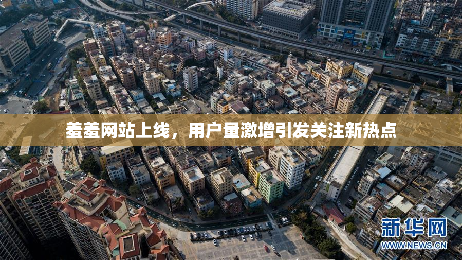 羞羞网站上线，用户量激增引发关注新热点