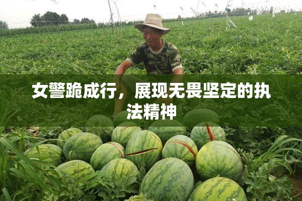女警跪成行，展现无畏坚定的执法精神