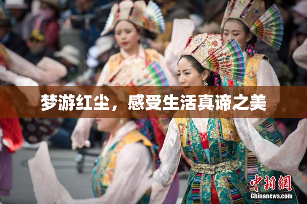 梦游红尘，感受生活真谛之美