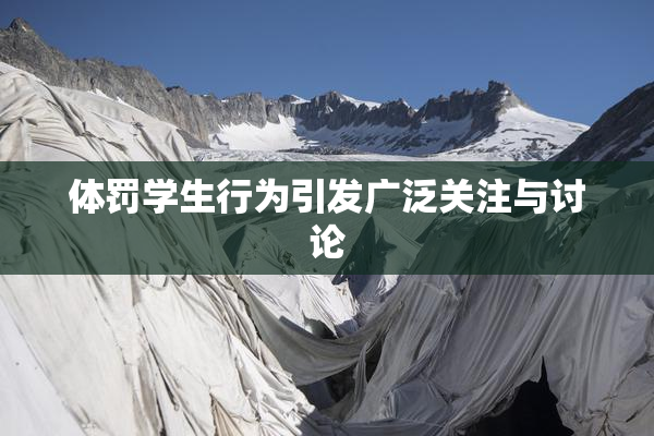 体罚学生行为引发广泛关注与讨论