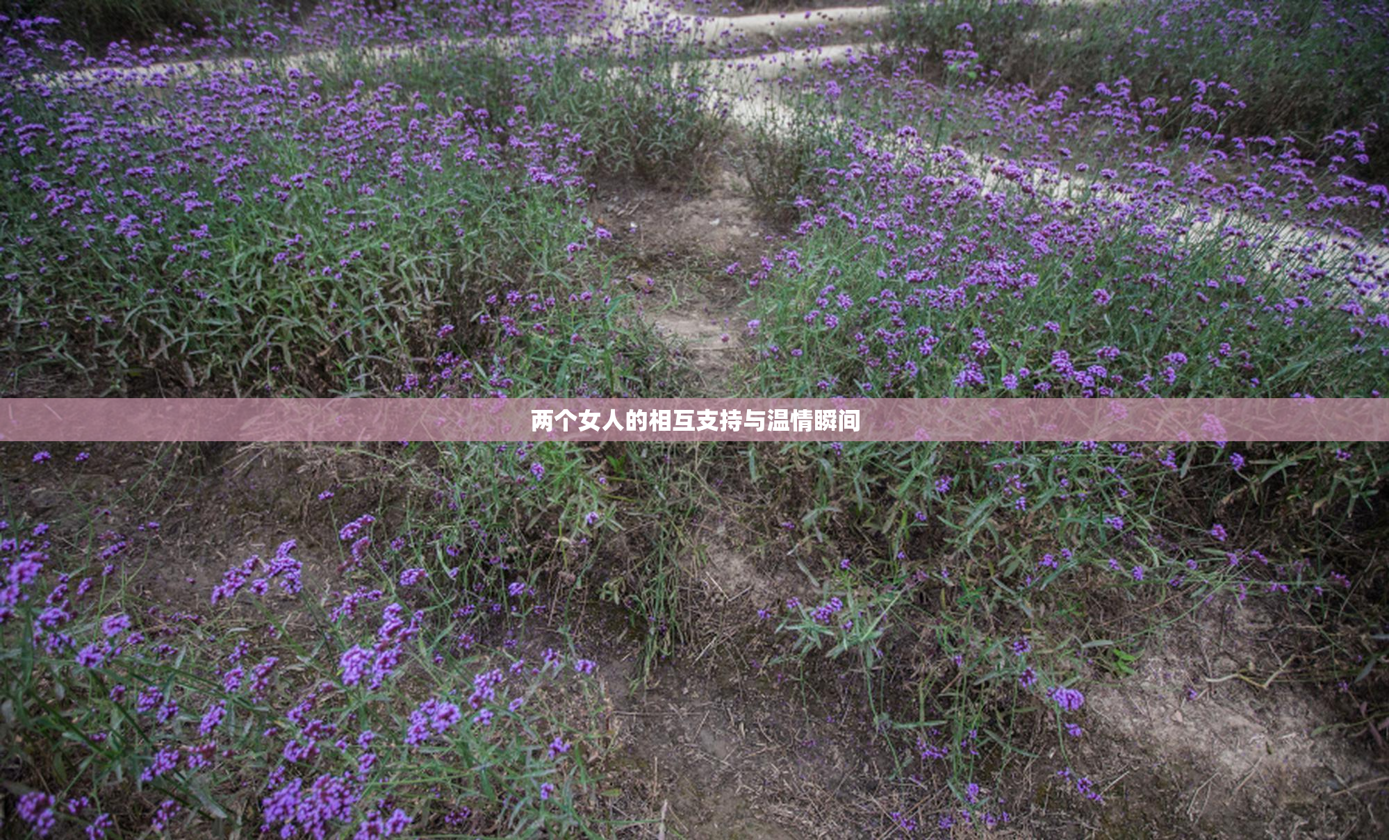 两个女人的相互支持与温情瞬间