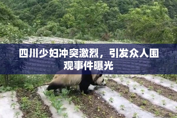 四川少妇冲突激烈，引发众人围观事件曝光