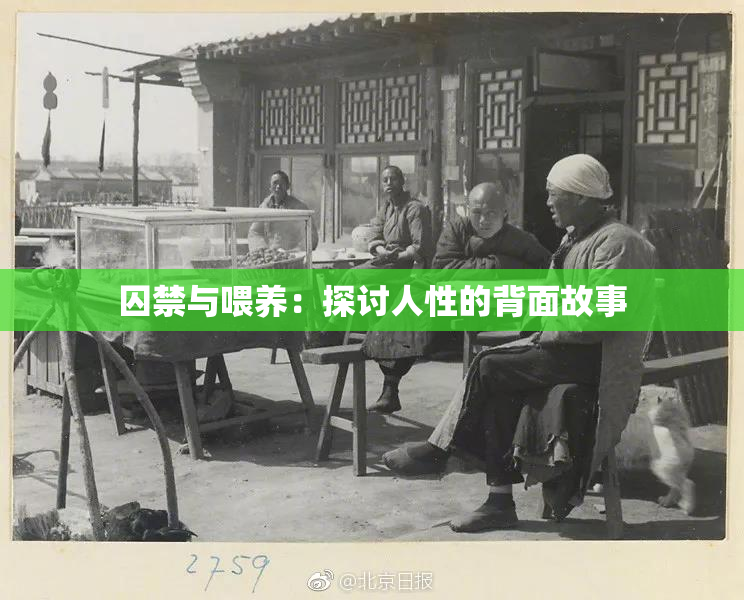 囚禁与喂养：探讨人性的背面故事