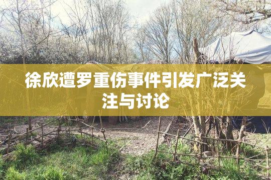 徐欣遭罗重伤事件引发广泛关注与讨论