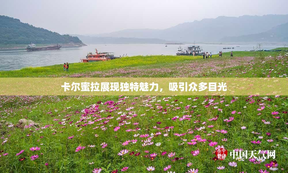 卡尔蜜拉展现独特魅力，吸引众多目光