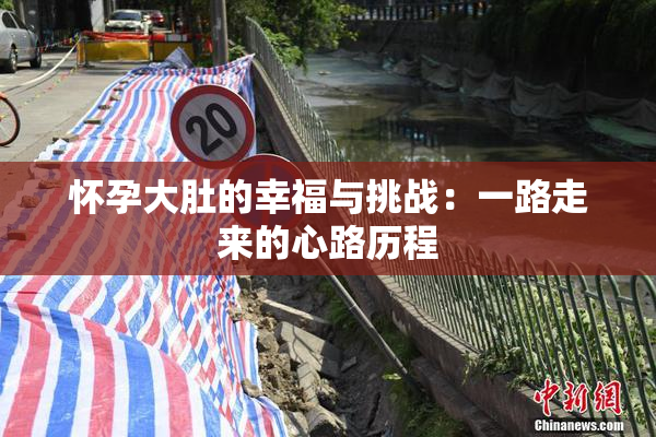 怀孕大肚的幸福与挑战：一路走来的心路历程