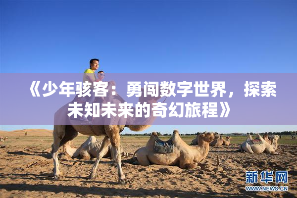 《少年骇客：勇闯数字世界，探索未知未来的奇幻旅程》