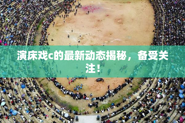 演床戏c的最新动态揭秘，备受关注！