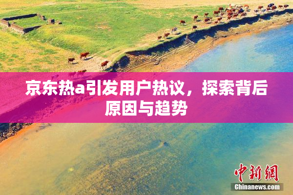 京东热a引发用户热议，探索背后原因与趋势