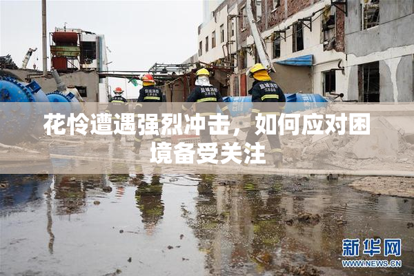 花怜遭遇强烈冲击，如何应对困境备受关注