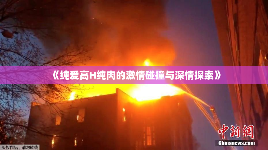 《纯爱高H纯肉的激情碰撞与深情探索》