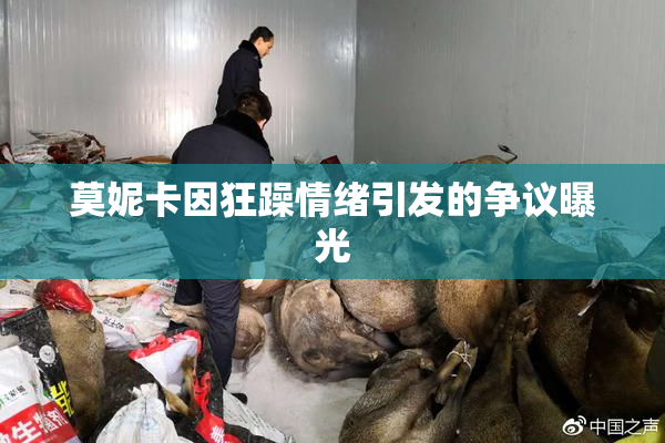 莫妮卡因狂躁情绪引发的争议曝光