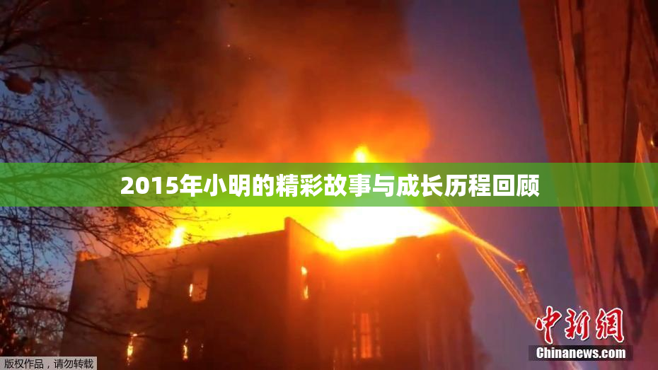 2015年小明的精彩故事与成长历程回顾