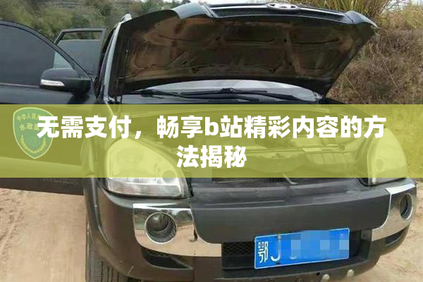 无需支付，畅享b站精彩内容的方法揭秘
