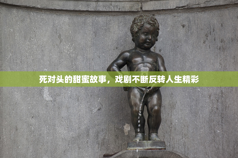 死对头的甜蜜故事，戏剧不断反转人生精彩