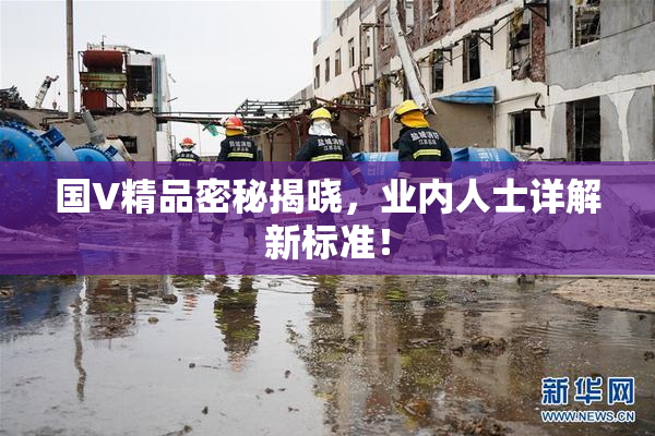 国V精品密秘揭晓，业内人士详解新标准！