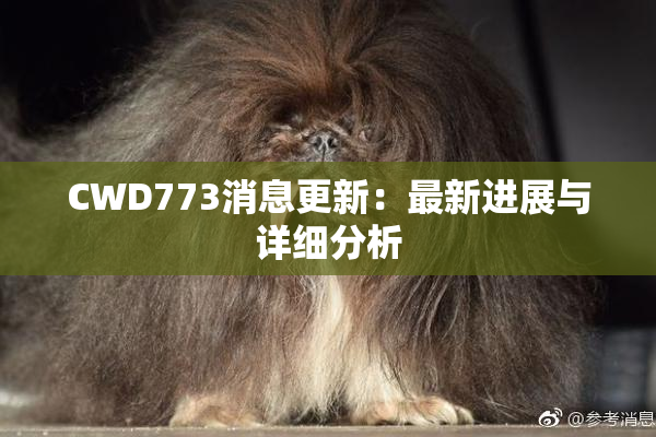 CWD773消息更新：最新进展与详细分析