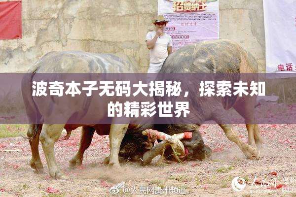 波奇本子无码大揭秘，探索未知的精彩世界