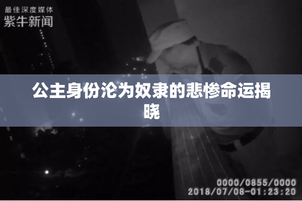 公主身份沦为奴隶的悲惨命运揭晓