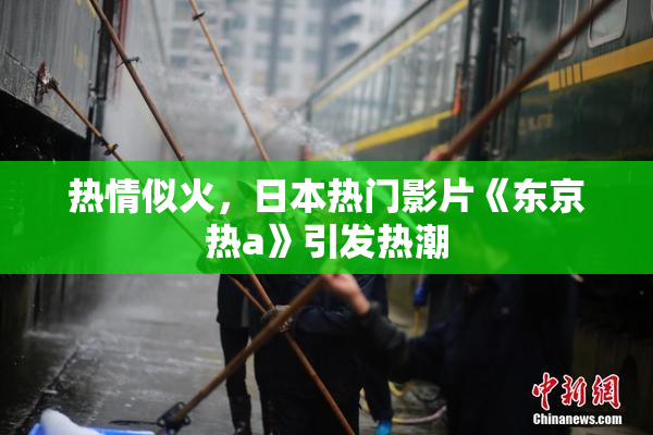 热情似火，日本热门影片《东京热a》引发热潮