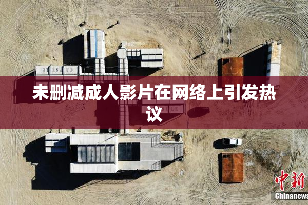 未删减成人影片在网络上引发热议