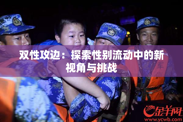 双性攻边：探索性别流动中的新视角与挑战