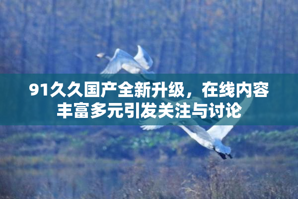 91久久国产全新升级，在线内容丰富多元引发关注与讨论