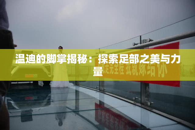 温迪的脚掌揭秘：探索足部之美与力量
