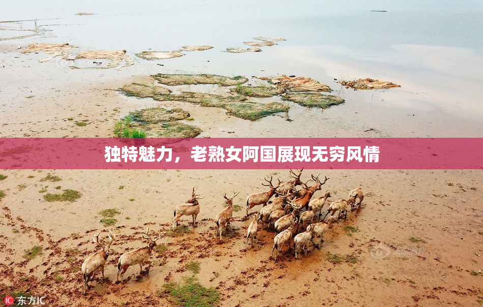 独特魅力，老熟女阿国展现无穷风情