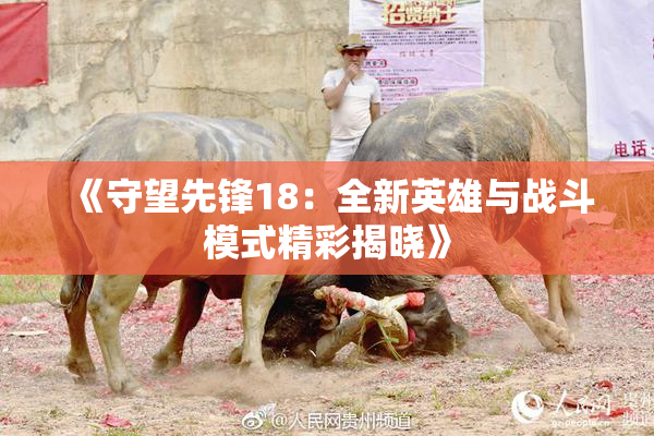 《守望先锋18：全新英雄与战斗模式精彩揭晓》