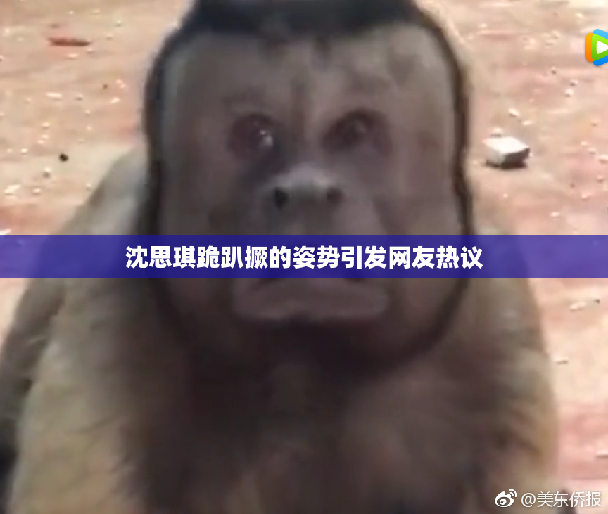 沈思琪跪趴撅的姿势引发网友热议