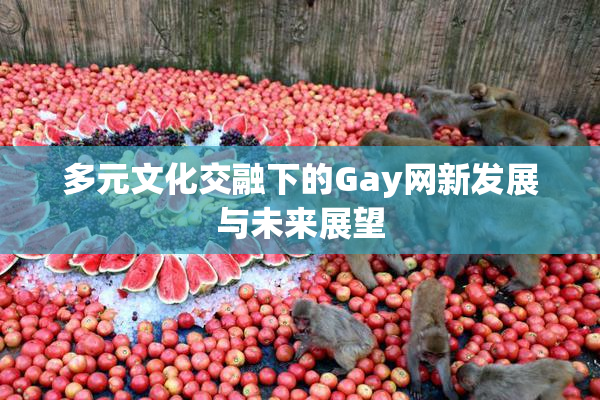 多元文化交融下的Gay网新发展与未来展望