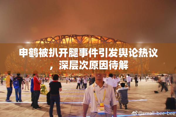 申鹤被扒开腿事件引发舆论热议，深层次原因待解