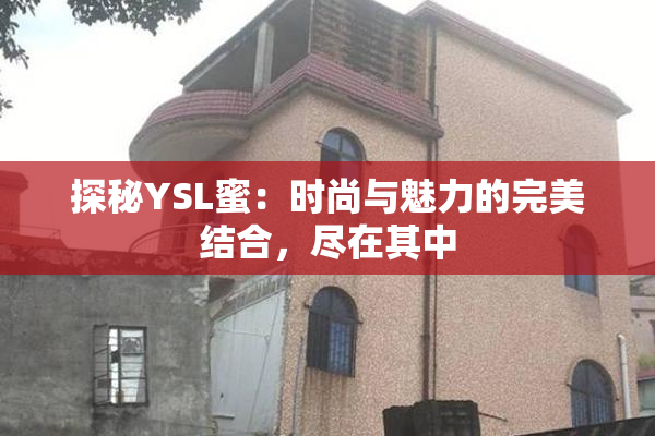 探秘YSL蜜：时尚与魅力的完美结合，尽在其中