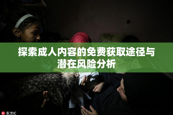 探索成人内容的免费获取途径与潜在风险分析