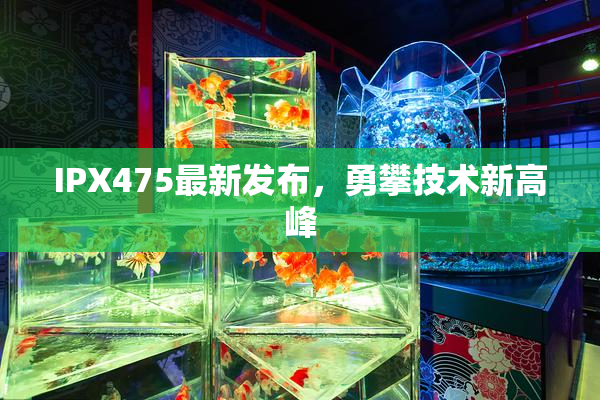 IPX475最新发布，勇攀技术新高峰