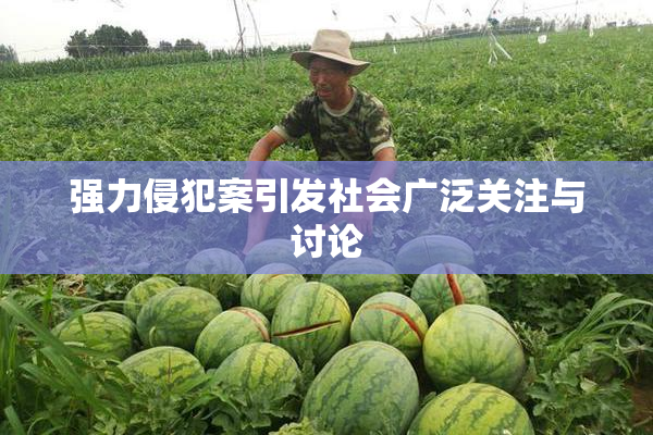 强力侵犯案引发社会广泛关注与讨论