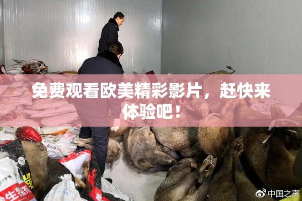 免费观看欧美精彩影片，赶快来体验吧！