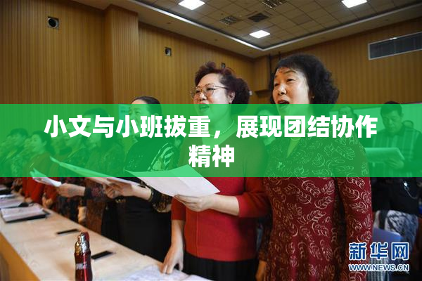 小文与小班拔重，展现团结协作精神