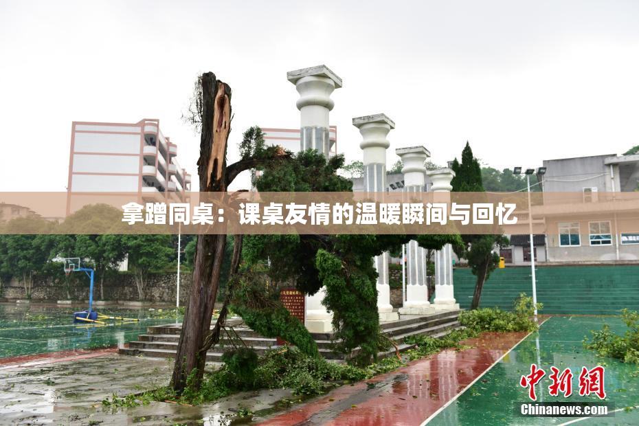 拿蹭同桌：课桌友情的温暖瞬间与回忆