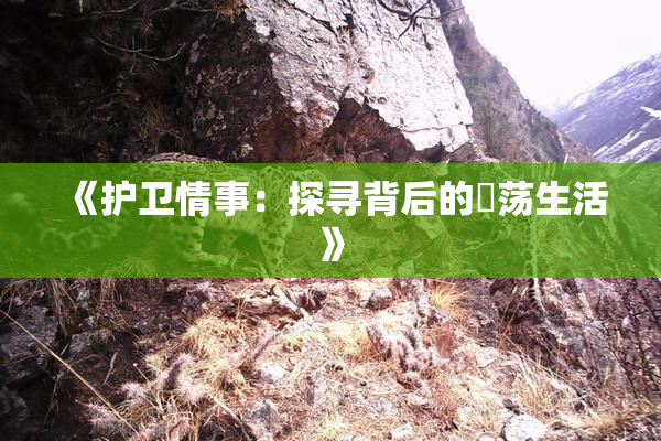 《护卫情事：探寻背后的婬荡生活》