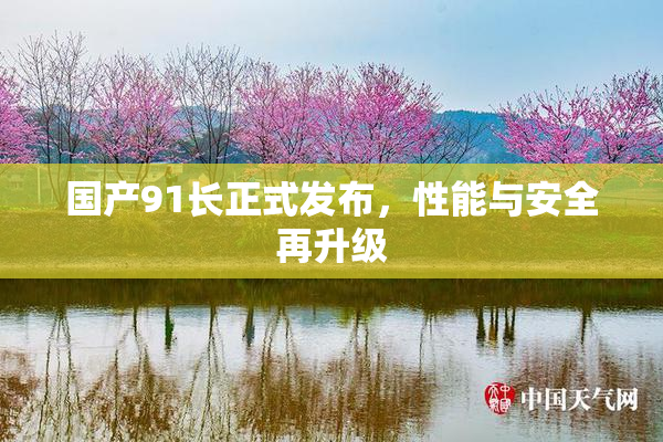 国产91长正式发布，性能与安全再升级
